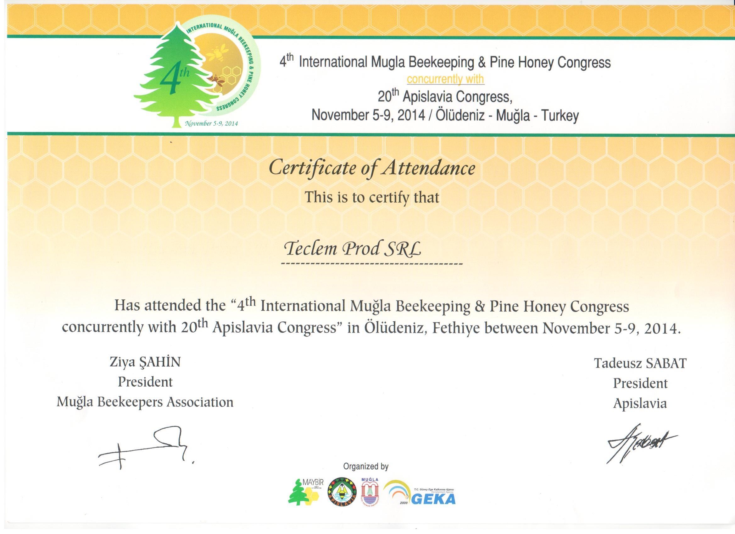 Certificate 2
