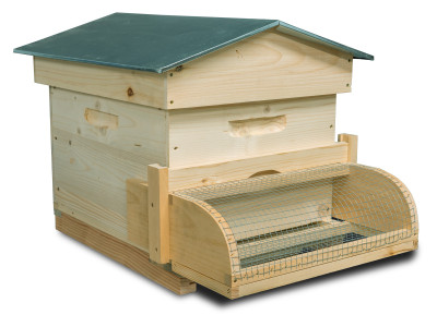 PROTECTIE PENTRU URDINIS IMPOTRIVA VIESPILOR VELUTINA