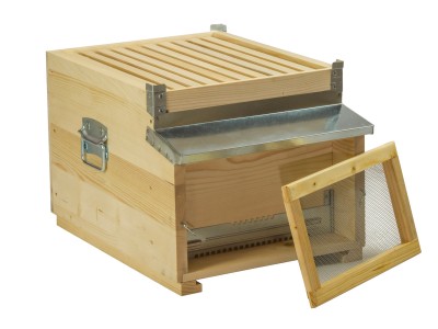 EC PASTORAL DADANT 1/1 BROOD (IT) EC PASTORAL DADANT 1/1 BROOD (IT)