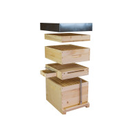 COLECTOR DE POLEN TIP PODISOR PENTRU STUP STATIONAR DE 10 RAME COLECTOR DE POLEN TIP PODISOR PENTRU STUP STATIONAR DE 10 RAME