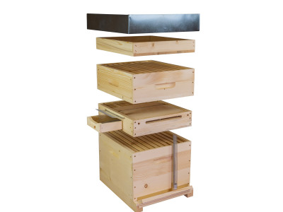 COLECTOR DE POLEN TIP PODISOR PENTRU STUP STATIONAR DE 10 RAME COLECTOR DE POLEN TIP PODISOR PENTRU STUP STATIONAR DE 10 RAME