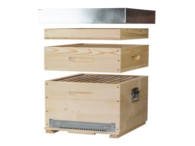 ECO STATIONARY DADANT (IT)