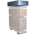 Hive nucleus