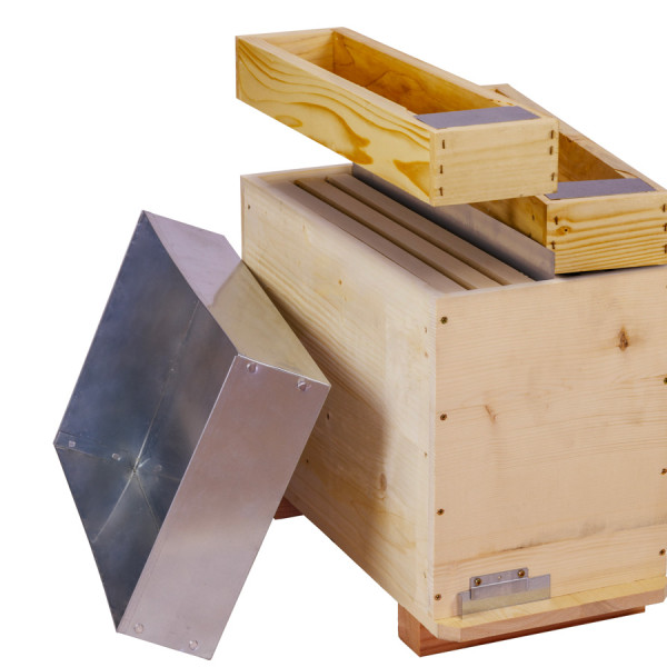 STANDARD IT 1/1 DADANT FRAME