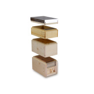 APIDEA FECUNDATION HIVE - IT MODEL APIDEA FECUNDATION HIVE - IT MODEL