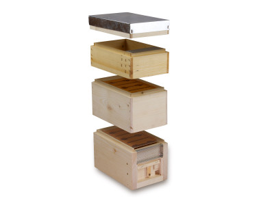 NUCLEU APIDEA - MODEL IT NUCLEU APIDEA - MODEL IT